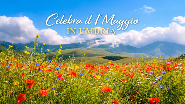 Prato fiorito con papaveri rossi e fiori di campo sulle colline umbre sotto un cielo azzurro, simbolo della primavera e del ponte del 1° maggio in Umbria.